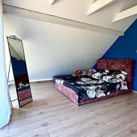 Auraland Holiday home Frombork